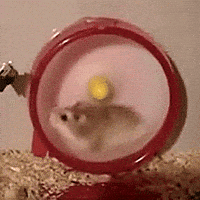 Hamster Wheel GIF
