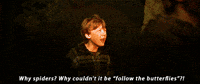 Spider GIF by Mashable