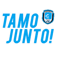 Time Futebol Sticker by CapitalCF