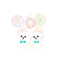 Hammy And Brody 4Th Of July Sticker by HammyandBrody