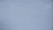 loop snow GIF