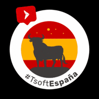 Tsoftglobal tsoft tsoftespaña GIF