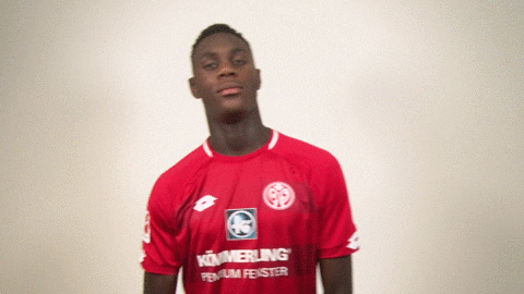 Moussa Niakhate GIF by 1. FSV Mainz 05