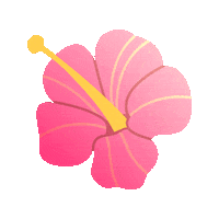 naycarolinen summer flower sun flor Sticker