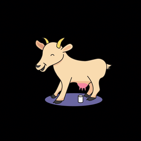improvisiertaberlecker giphyupload happy goat milk GIF