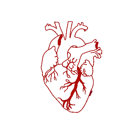 Heart Love Sticker