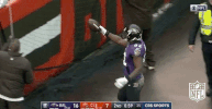 Baltimore Ravens Football GIF by NFL