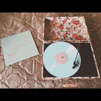 GIF by Polyvinyl Records