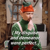 Christmas Elf Ttrpg GIF by zoefannet