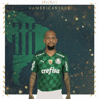 Soccer Futebol GIF by SE Palmeiras