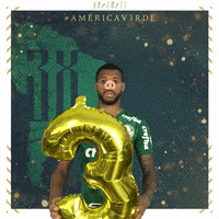Soccer Futebol GIF by SE Palmeiras