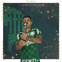Soccer Futebol GIF by SE Palmeiras