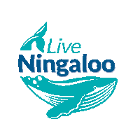 LiveNingaloo exmouth ningaloo whale sharks whalesharks Sticker