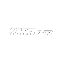 Viesse_Auto supercar luxury car viesse viesse auto Sticker