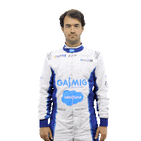 Driver Piloto Sticker by Porsche GT3 Cup Brasil