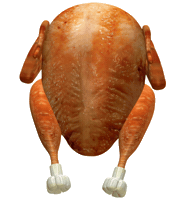 turkey happy thanksgiving Sticker