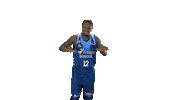 Lebron James Basketball Sticker by ACB
