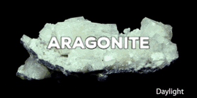 marciawendorf giphygifmaker GIF