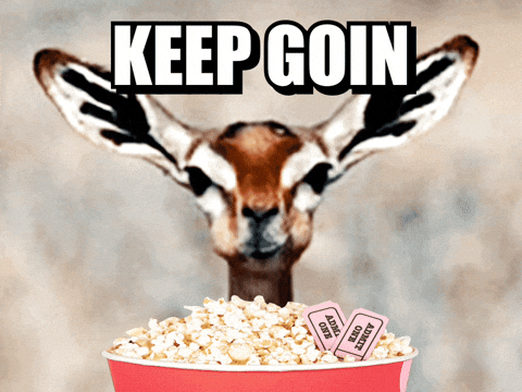 https://media2.giphy.com/media/v1.Y2lkPTc5MGI3NjExMmJpdWR3NXU2eDMwd2w1dGh5Mm10MWVzcTJmdngzbW93YWZ3ZWRsOCZlcD12MV9pbnRlcm5hbF9naWZfYnlfaWQmY3Q9Zw/aM03GO2eGONa7wCRWZ/giphy.gif