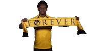 Jordan Lotomba Fun Sticker by BSC Young Boys