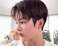 Cortiskeonho GIF