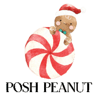 Candy Cane Christmas Sticker by Posh Peanut