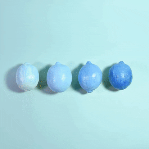 lemon blueberry GIF by Evan Hilton