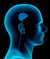 No Brain GIF