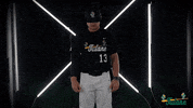 Tulane Rollwave GIF by GreenWave