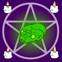 Animation Domination Fox GIF by gifnews