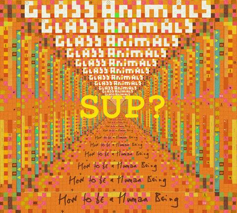 sup GIF by Glass Animals
