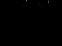 Concert GIF by Amythyst Kiah