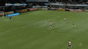 GIF by FOX Sports