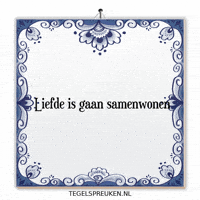 Humor Nl GIF by Tegelspreuken.nl
