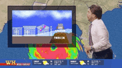 are304 GIF by truTV’s Adam Ruins Everything