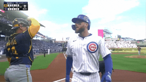 Chicago Cubs Baseball GIF by MLB