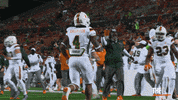College Football GIF by Miami Hurricanes