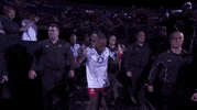 Mixed Martial Arts Sport GIF by UFC