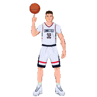 Final Four Basketball Sticker by Panini America
