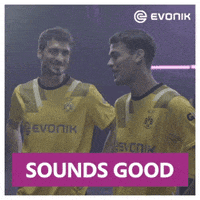 Soccer Matshummels GIF by Evonik