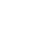 Rugby World Cup Sport Sticker by Colizey
