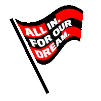 Bayer 04 Football Sticker by Bayer 04 Leverkusen