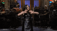 Snl GIF by Saturday Night Live