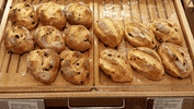 buns GIF