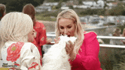 Channel Islands Ladies GIF by Real Housewives of Jersey