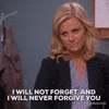 Never Forgive You Season 5 GIF by Parks and Recreation