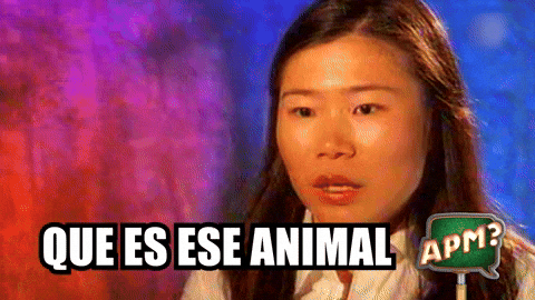 China GIF by Alguna Pregunta Més?