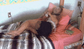 Season 3 Crying GIF by Bachelor in Paradise