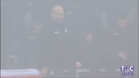 come on yes GIF by Toulouse Football Club