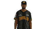 Pelota Lidom Sticker by Águilas Cibaeñas